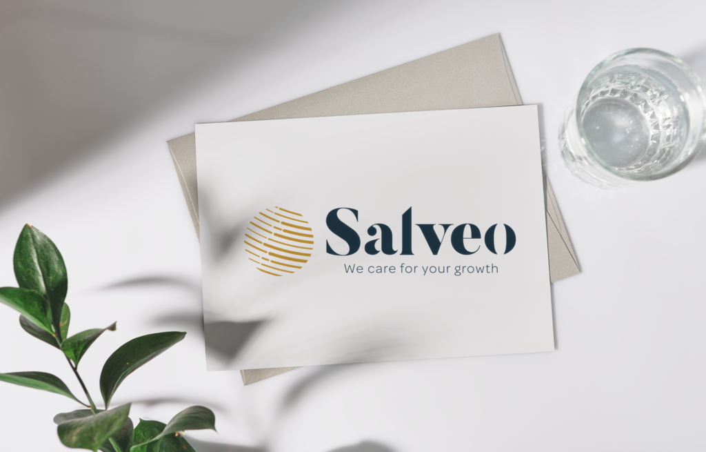 creation de logo salveo developpement international